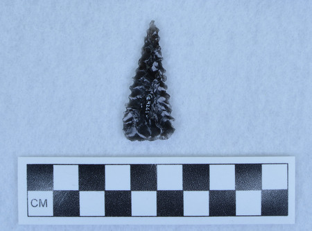 Ce.4261