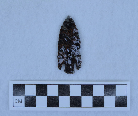 Ce.4301