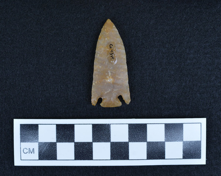 Ce.4319