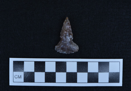 Ce.647