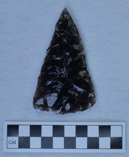 Ce.824