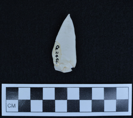 Ce.2446