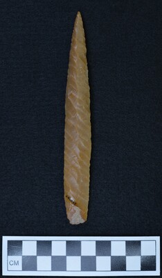 Ce.2843