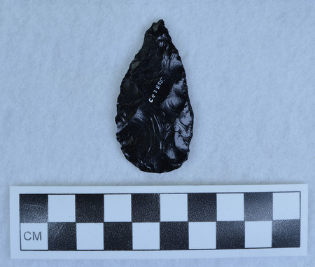 Ce.3855
