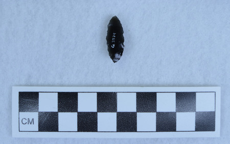 Ce.3979