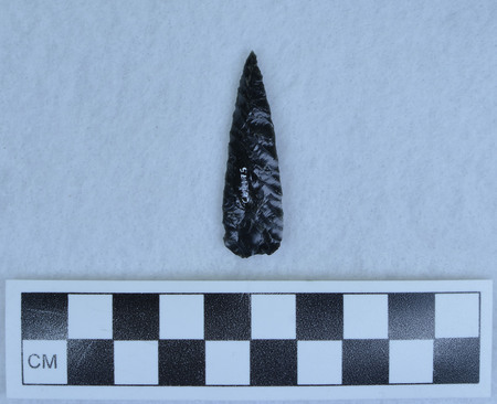Ce.4175