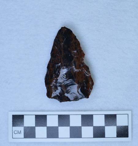 Ce.4229