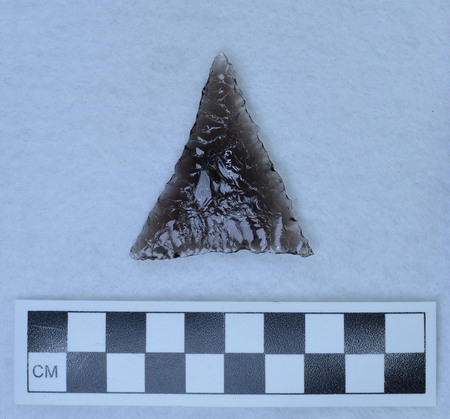 Ce.4237