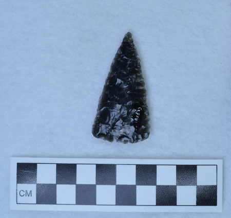Ce.7781