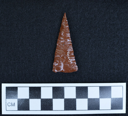 Ce.7799