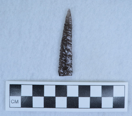 Ce.7811