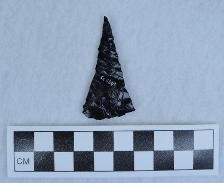 Ce.7829