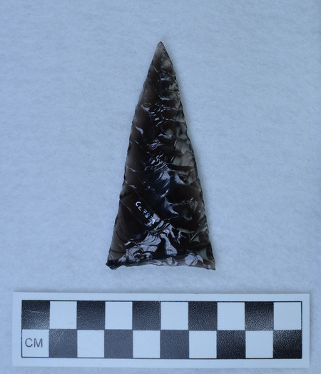 Ce.7839
