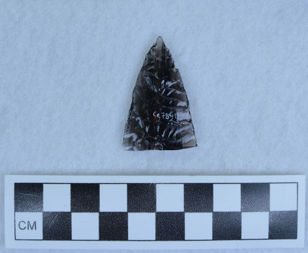 Ce.7841