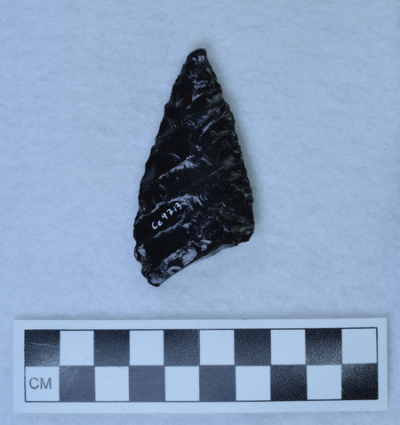 Ce.9713