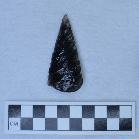 Ce.9783