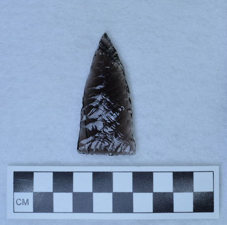 Ce.9881