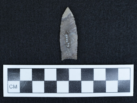 Ce.9950