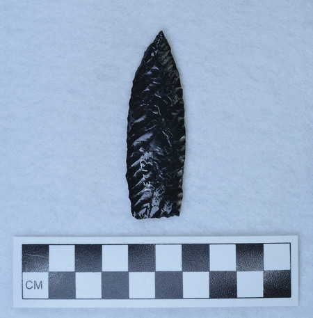 Ce.1231