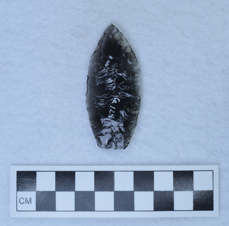 Ce.1241