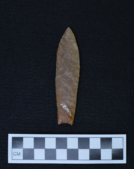Ce.1599
