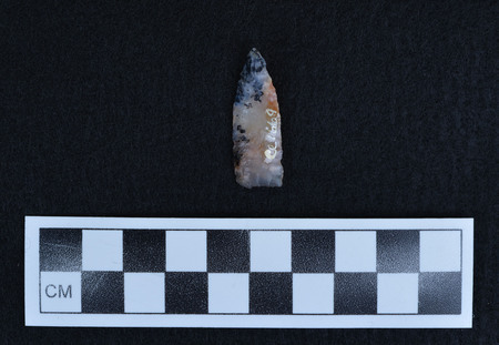 Ce.1669