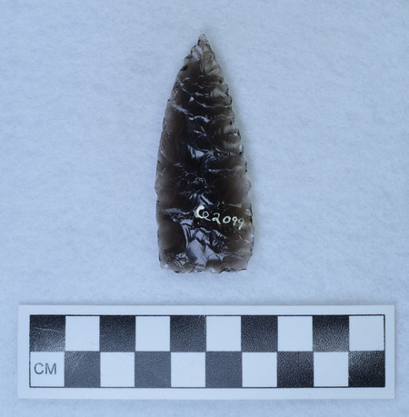 Ce.2099