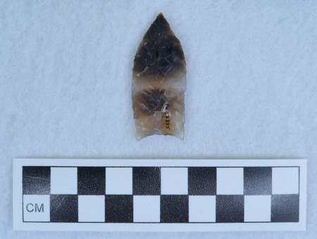 Ce.2855