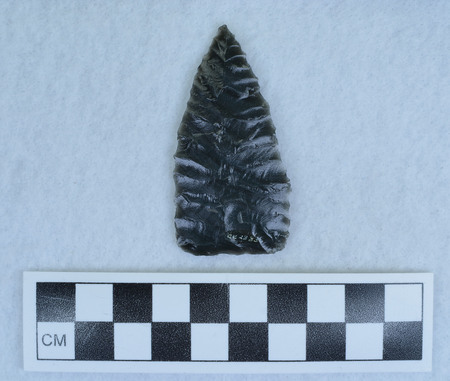 Ce.2883