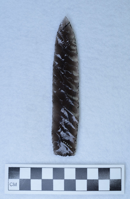 Ce.2894