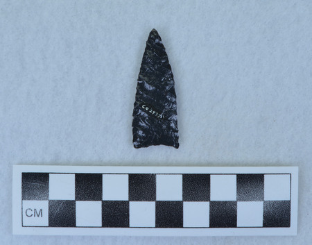 Ce.2937