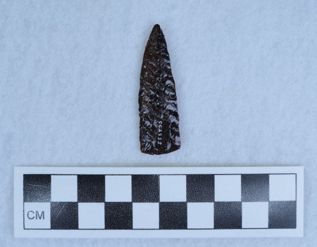 Ce.2938