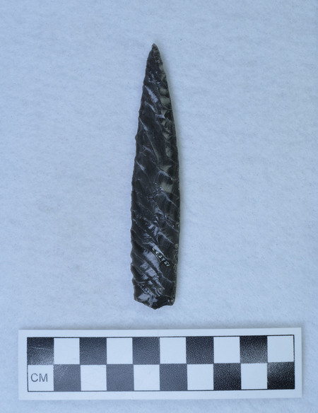 Ce.3951