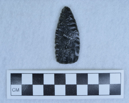 Ce.4074