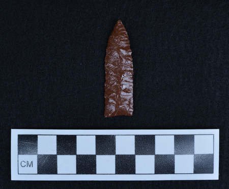 Ce.4206