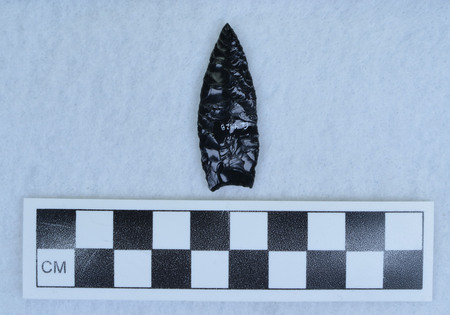 Ce.4428