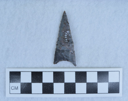 Ce.7861