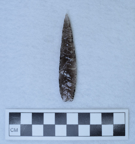 Ce.7869