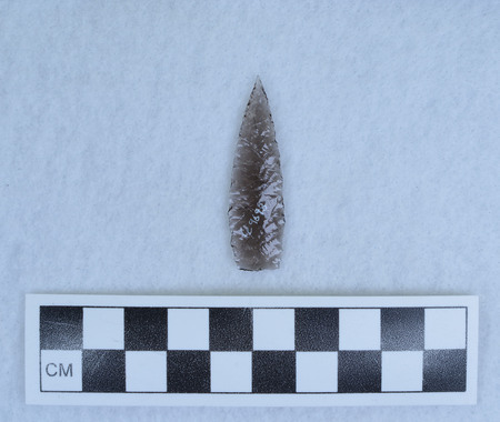 Ce.9698