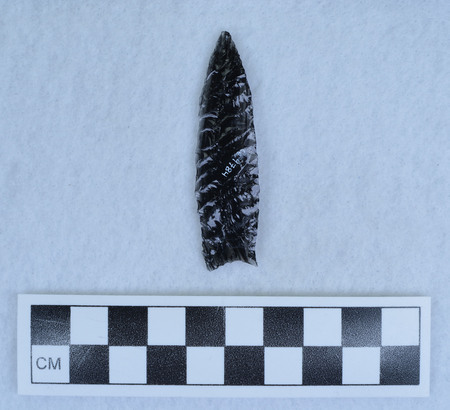 Ce.9784