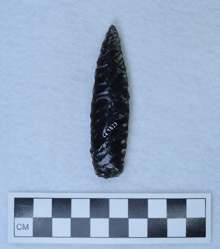 Ce.9833