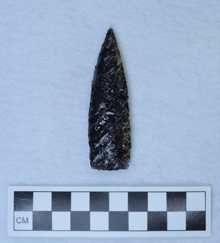 Ce.9891