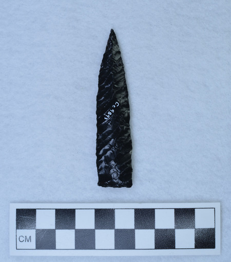 Ce.9893