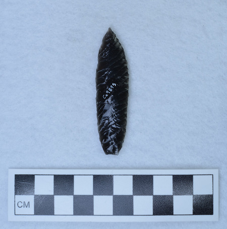 Ce.9895