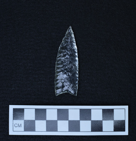Ce.9951