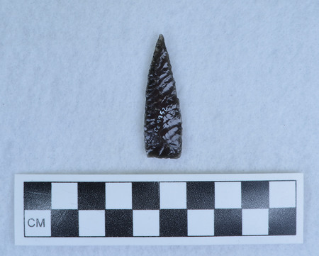 Ce.9952