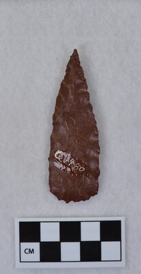 Ce.1980