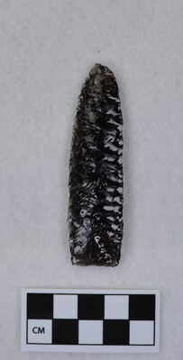 Ce.2447