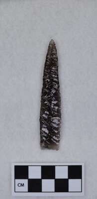 Ce.2802