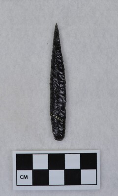 Ce.2824